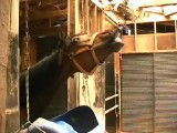 ウマのフレーメン反応