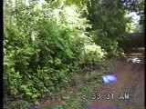 モルフォチョウの一種Morpho amathonteのオスの飛翔