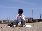 トビの急襲