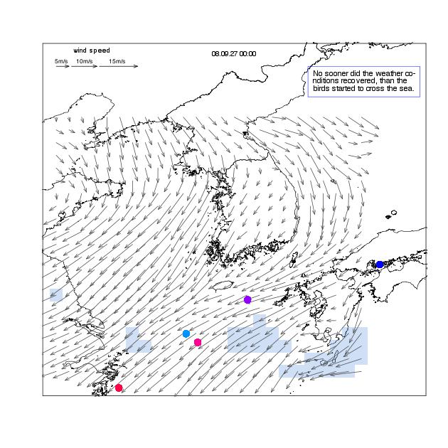 Movements of Oriental honey-buzzards and the temporal change in the weather conditions in the East China Sea, the Korea/Tsushima Strait, and the Korea Peninsula during the 2006-2008 autumn