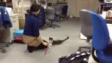 犬として育てられた？猫の遊び♪