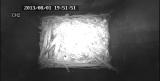 ムササビによる夜間の「立ち寄り」行動