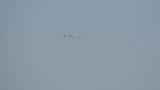 Common Crane and Sandhill Cranes flying away