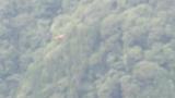 Soaring Golden Eagle