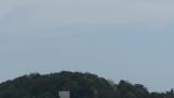 Distant kettle (of mostly Grey-faced Buzzards)