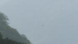 Soaring Golden Eagle